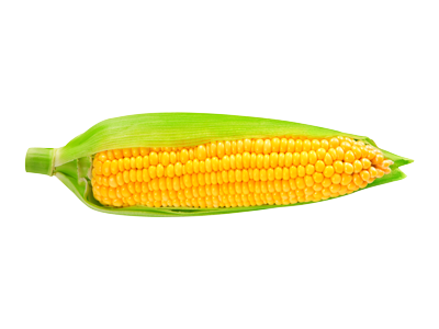 Maïs