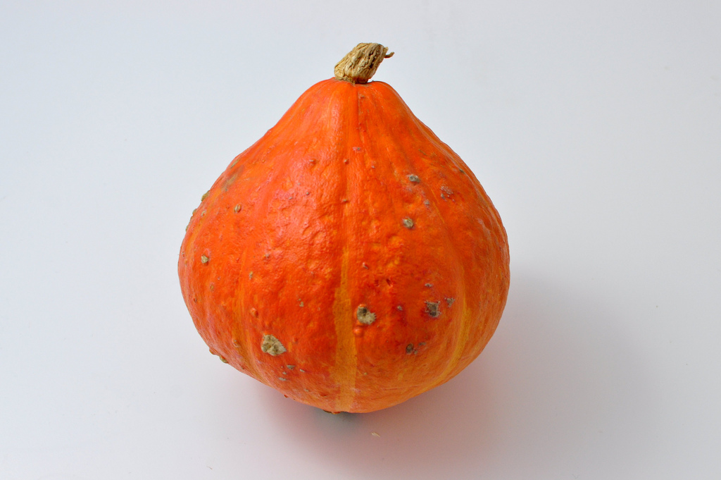 Courge
