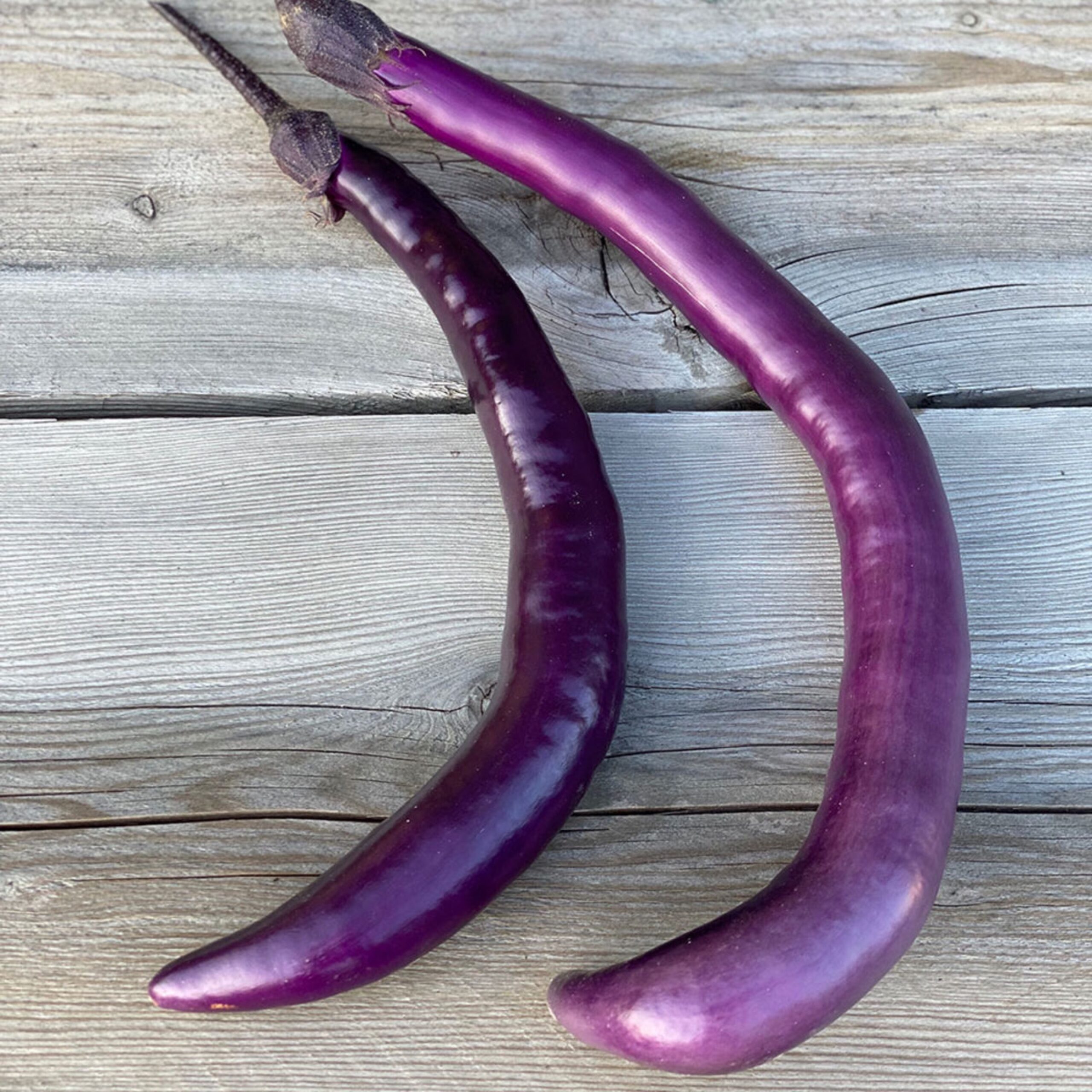 Aubergine japonaise