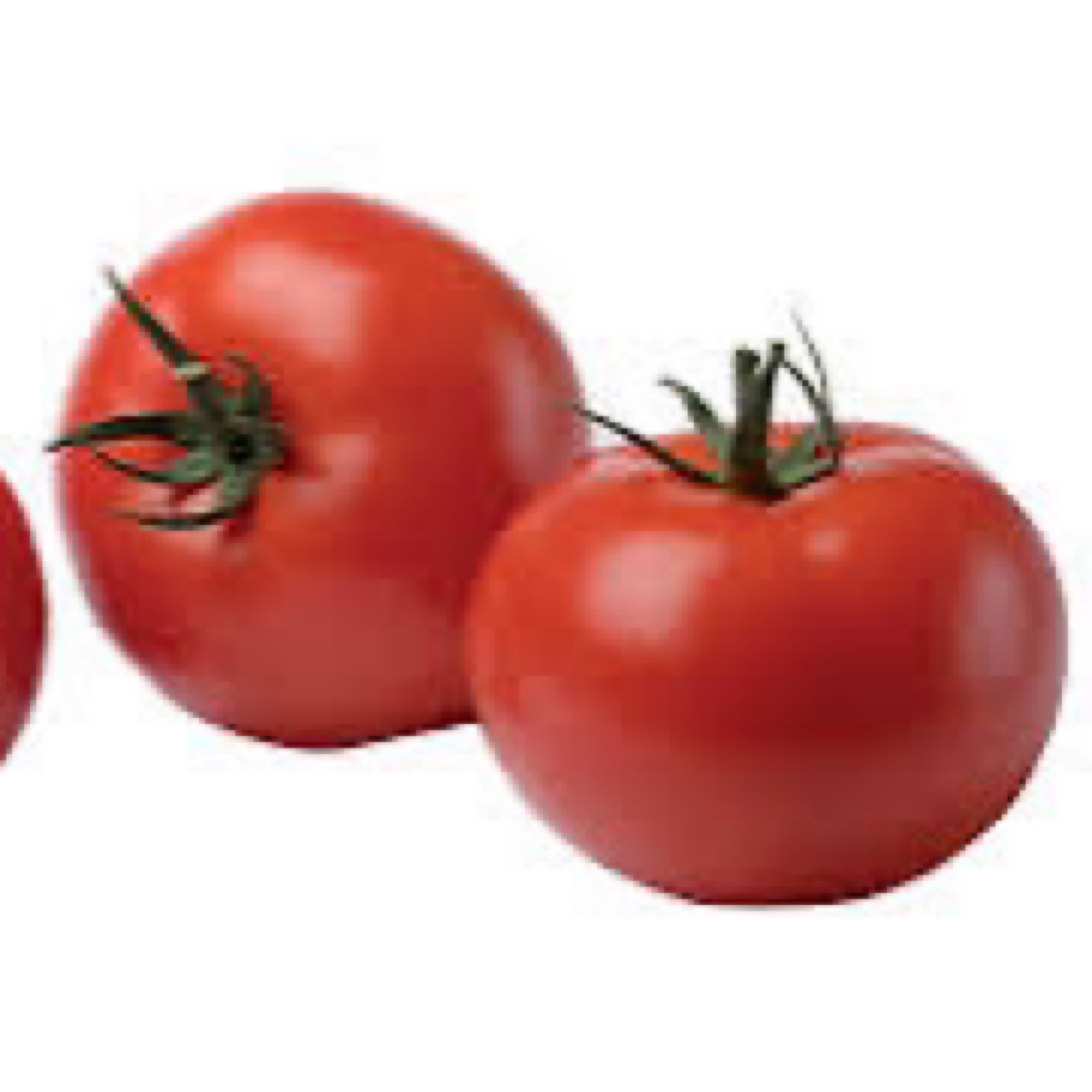 Tomates rondes