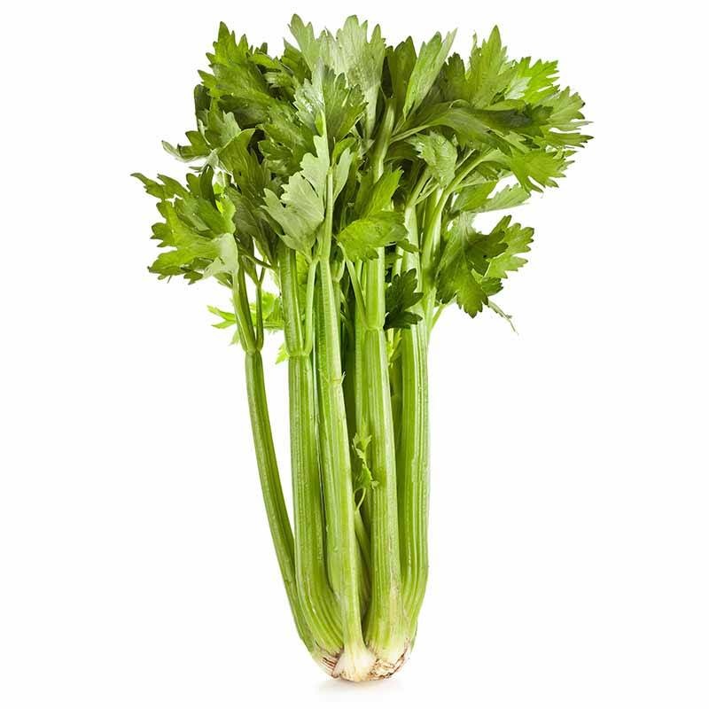 Céleri Branche