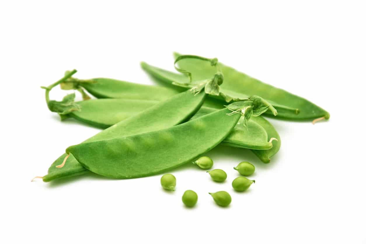 Pois Mange Tout