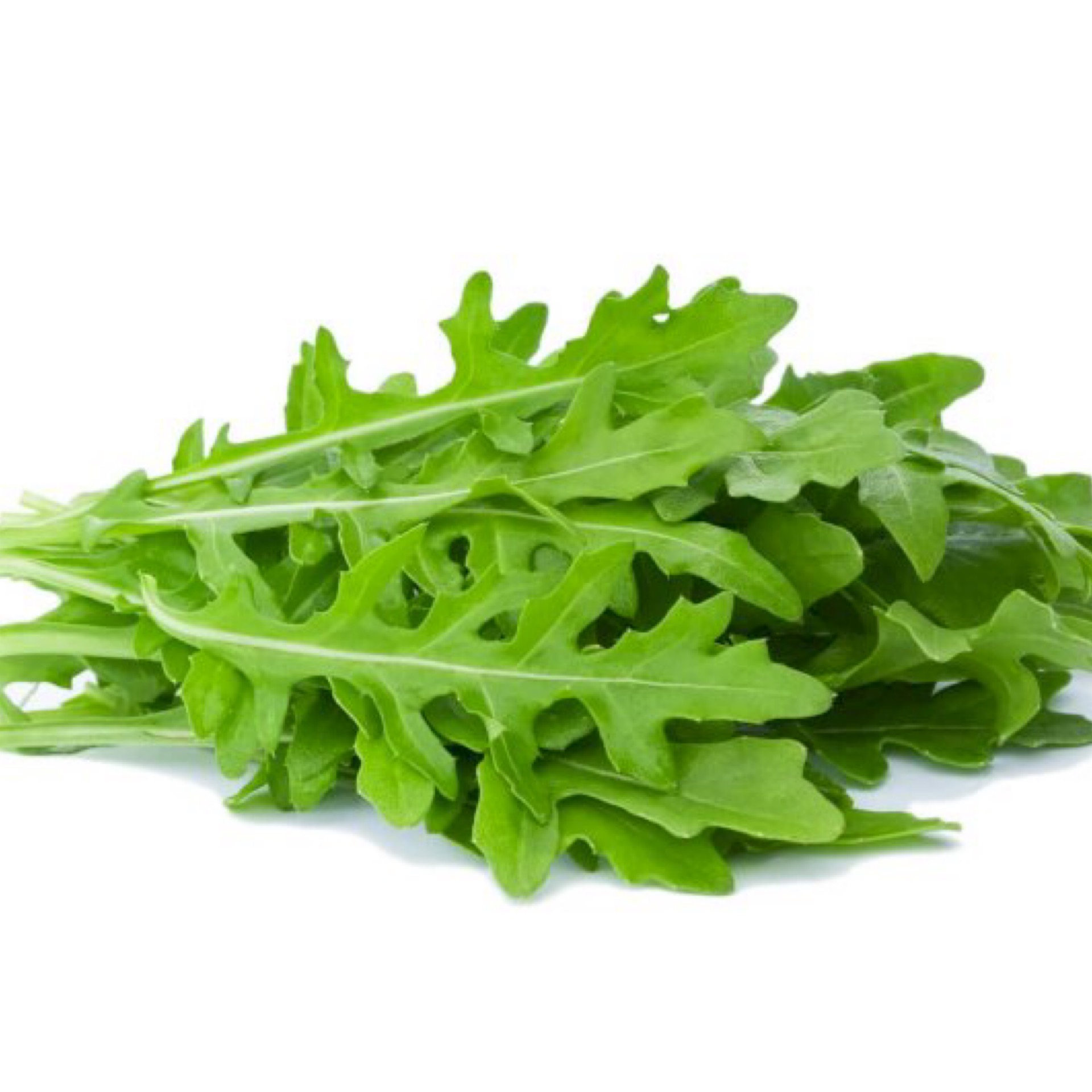 Roquette
