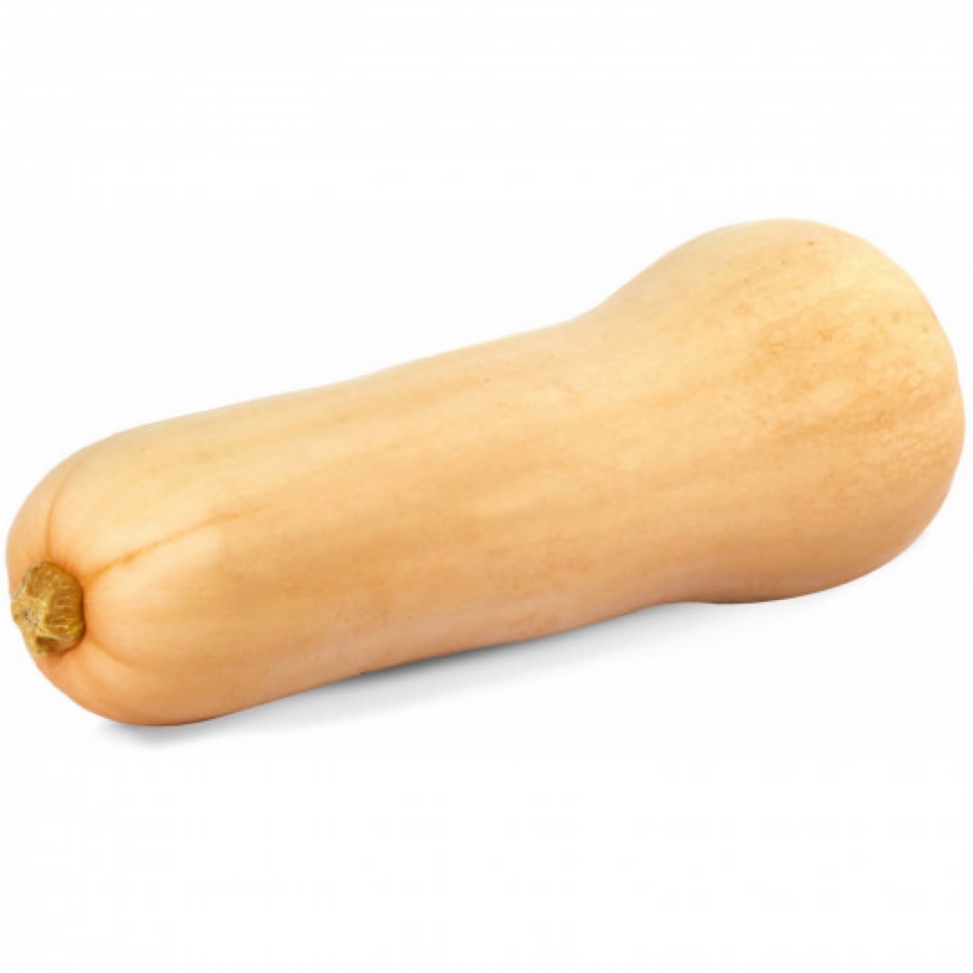Butternut